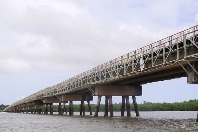 Interprétation écologique des impacts acoustiques de la construction du pont de Larivot Guyane